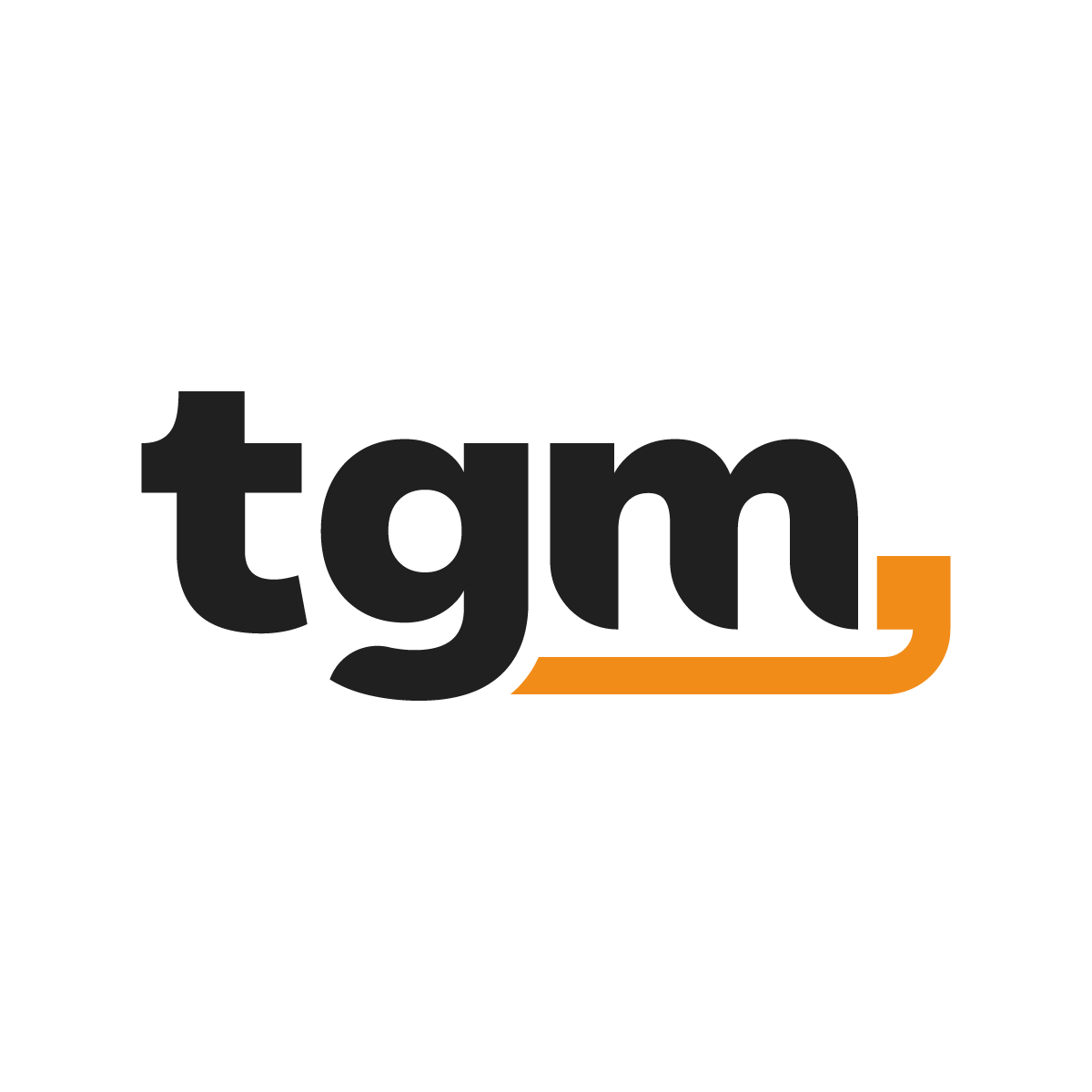 Logo TGM Capital